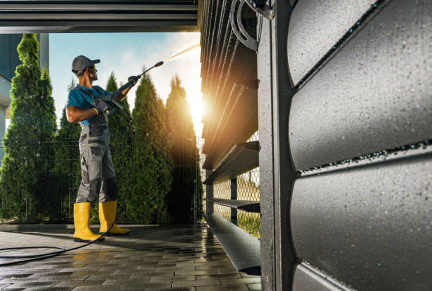 Best Roof Washing  in Alto, GA